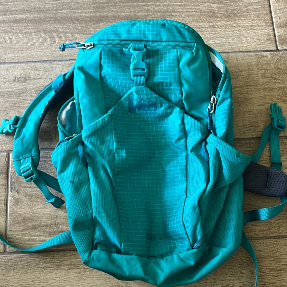 REI Tarn 12 backpack with camelback bladder